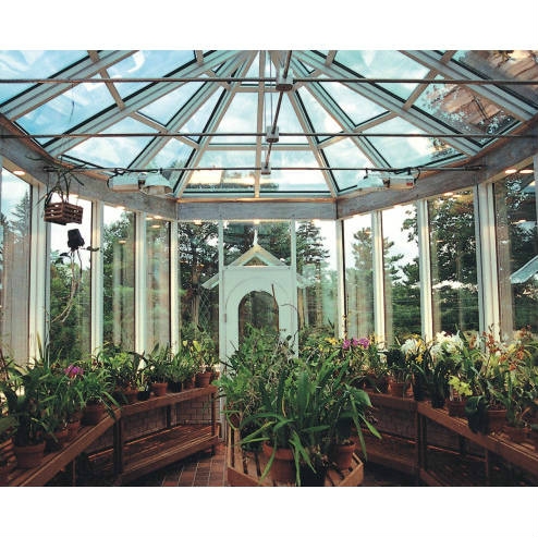 裝修之家居風水植物顏色也很講究